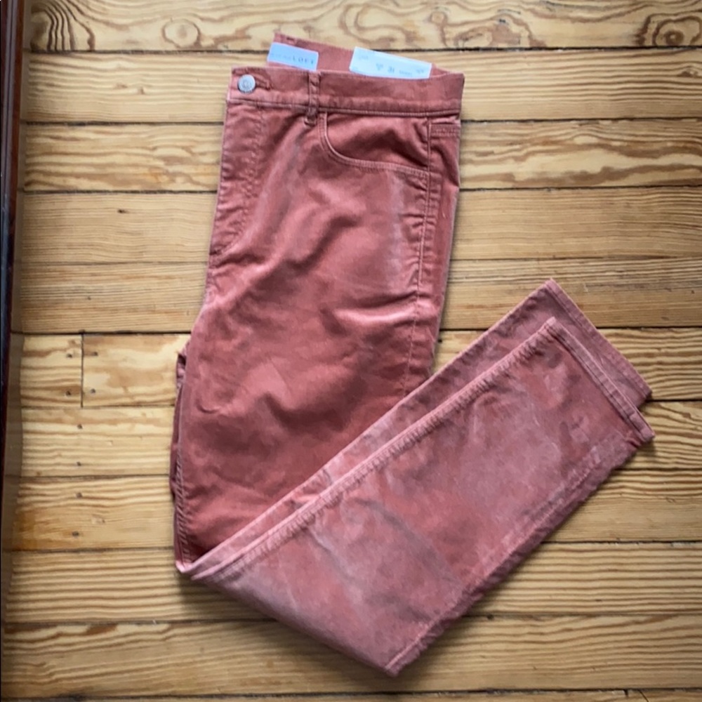 Loft Velvet pants